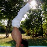 Corsi di Hatha Yoga a Crema